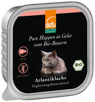 Katze Pure Happen in Gelee Atlantiklachs