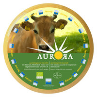 Aurora Jersey alt