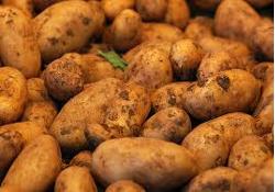 Kartoffeln 3kg mehlig