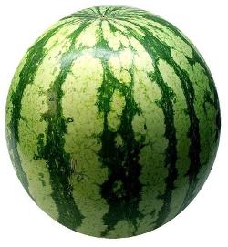 Wassermelone mini