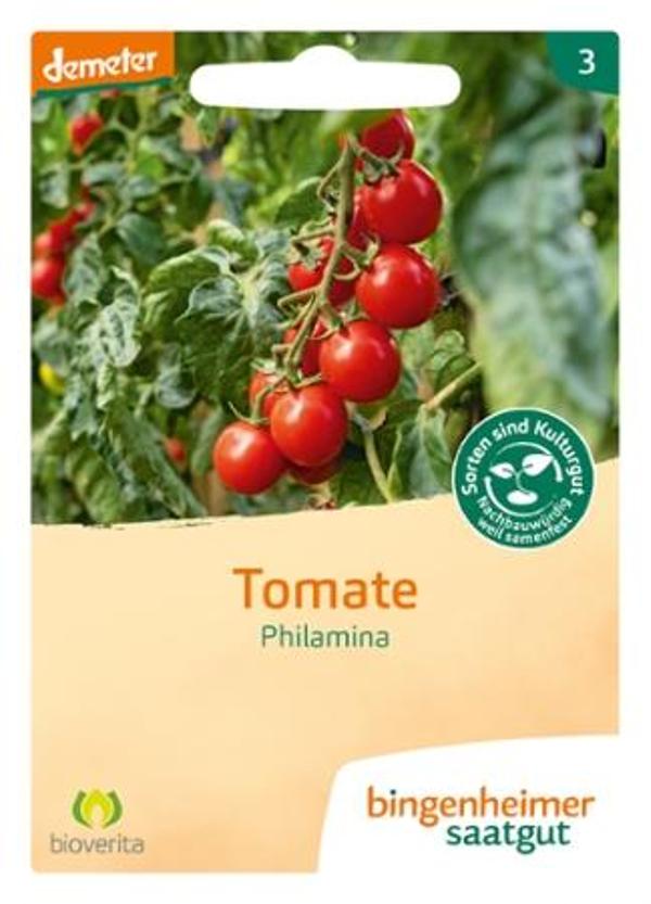 Produktfoto zu Tomate Cocktail Philamina