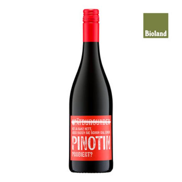 Produktfoto zu Pinotin rot 0,75l