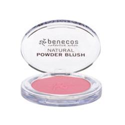 Powder Blush mallow rose