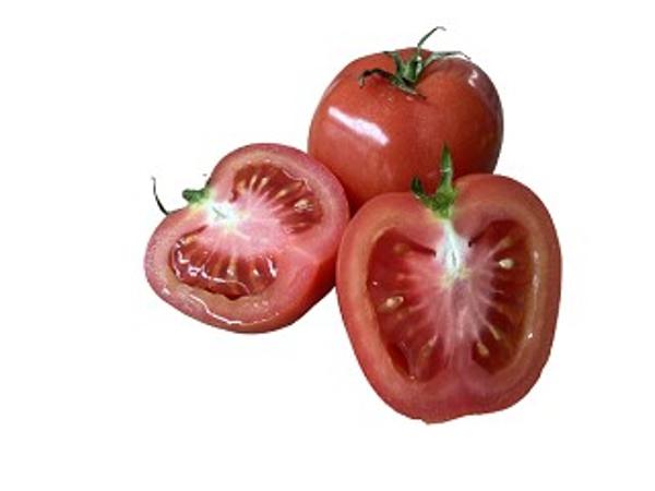 Produktfoto zu Tomate Plumola