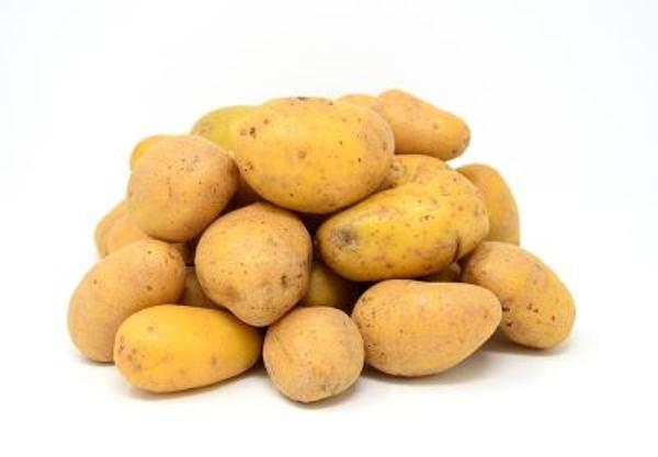 Produktfoto zu Kartoffeln  Sorte Belana, festkochend lose