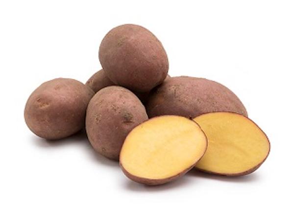 Produktfoto zu Kartoffeln vorwiegend festkochend 12,5kg