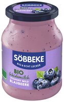 Bio Weidemilch Joghurt mild Blaubeere 3,8% Fett