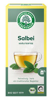 Salbei