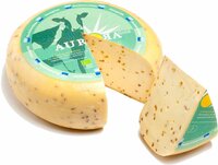 Aurora Gold Gouda Bockshornklee