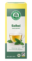 Salbei