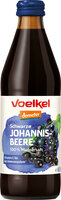 Schwarze Johannisbeere