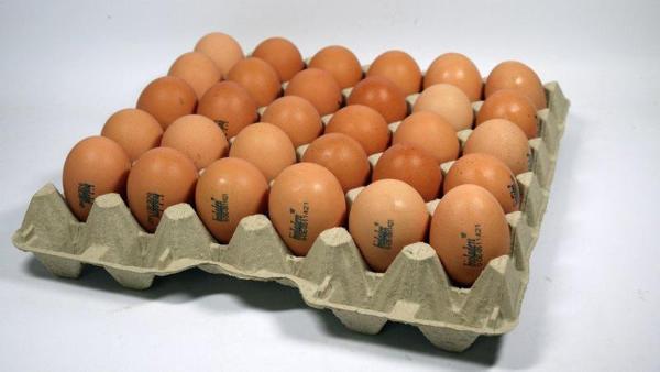 Produktfoto zu Eier 10er- Größe M_L