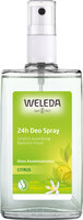 CITRUS 24h Deo Spray