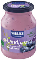 Bio Weidemilch Joghurt mild Blaubeere 3,8% Fett