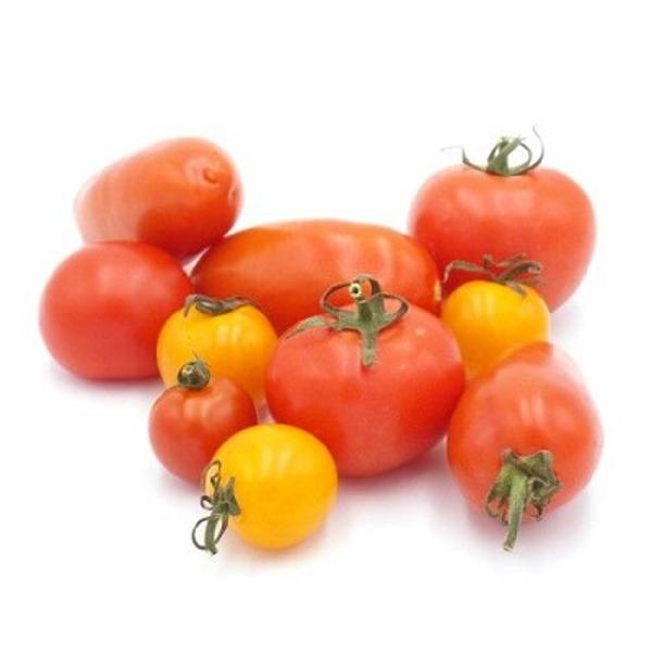 Produktfoto zu Tomaten Mix alte Sorten