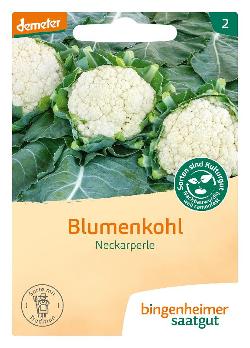 Saatgut Blumenkohl Neckarperle