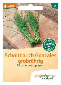 Saatgut Schnittlauch grobröhrig