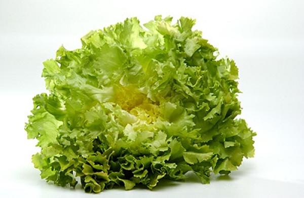 Produktfoto zu Salat Endivien