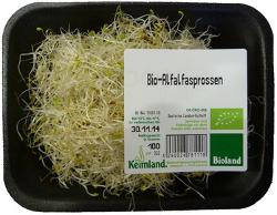 Alfalfasprossen