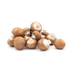 Pilze Champignons braun