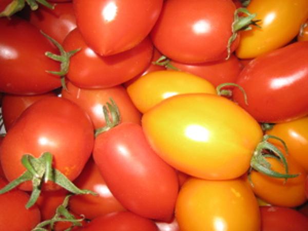 Produktfoto zu Tomaten Roma