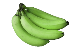 Bananen grün