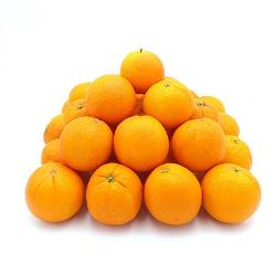 Orangen Saftorangen