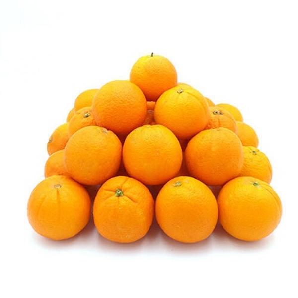 Produktfoto zu Orangen Saftorangen