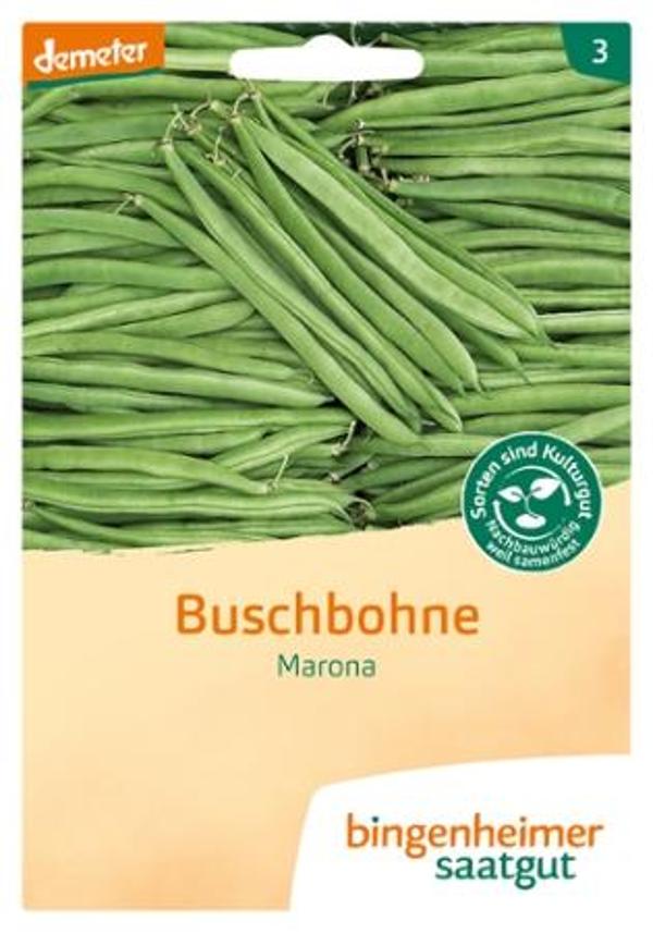 Produktfoto zu Saatgut Buschbohnen Marona