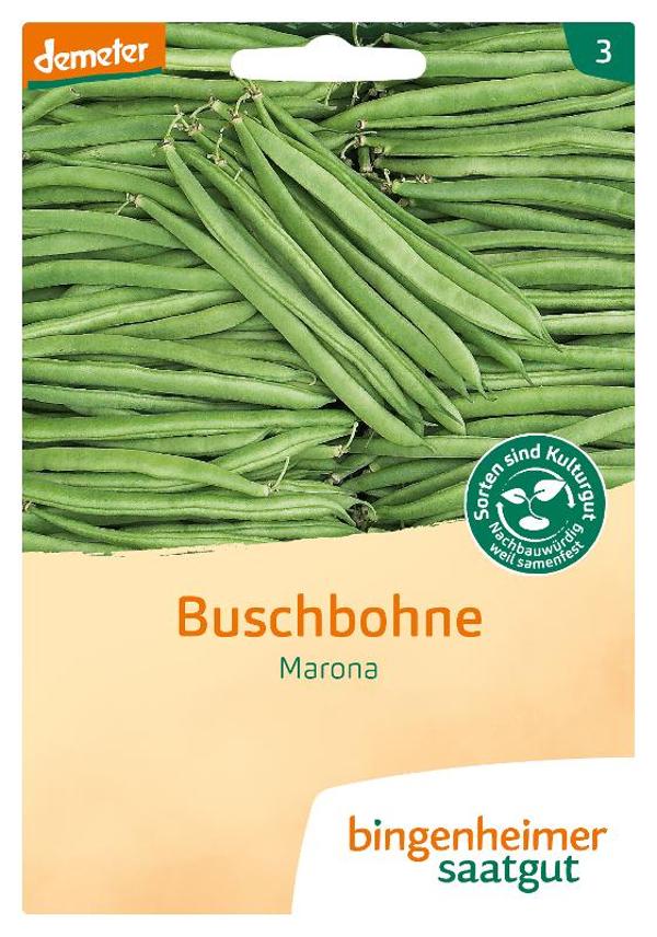 Produktfoto zu Saatgut Buschbohnen Marona