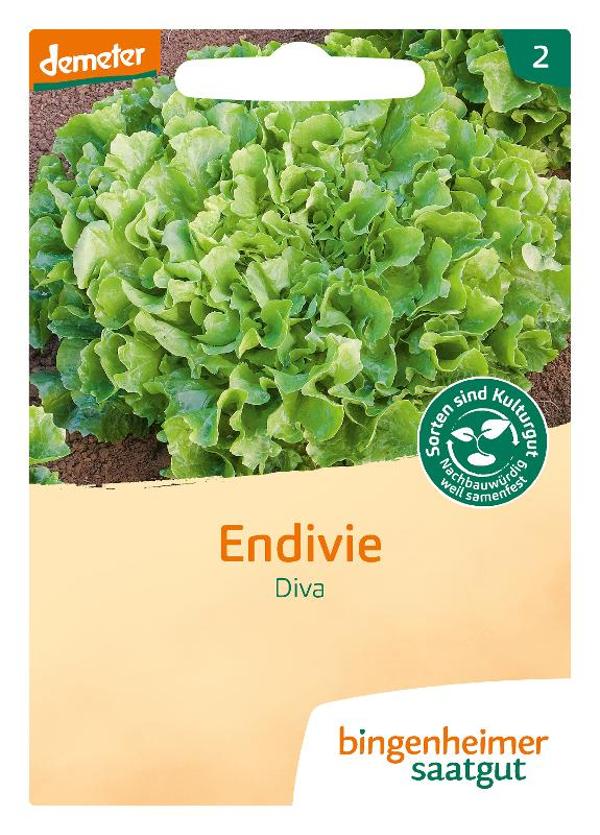 Produktfoto zu Saatgut Endivie Diva
