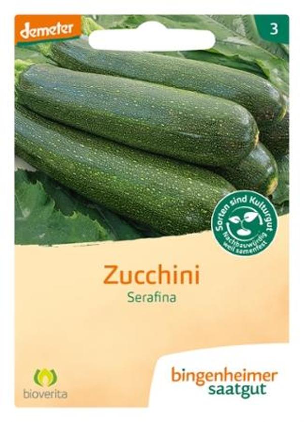 Produktfoto zu Saatgut Zucchini Serafina