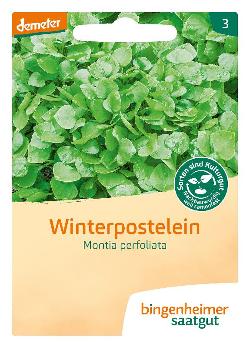 Saatgut Winterpostelein Montia perfoliata