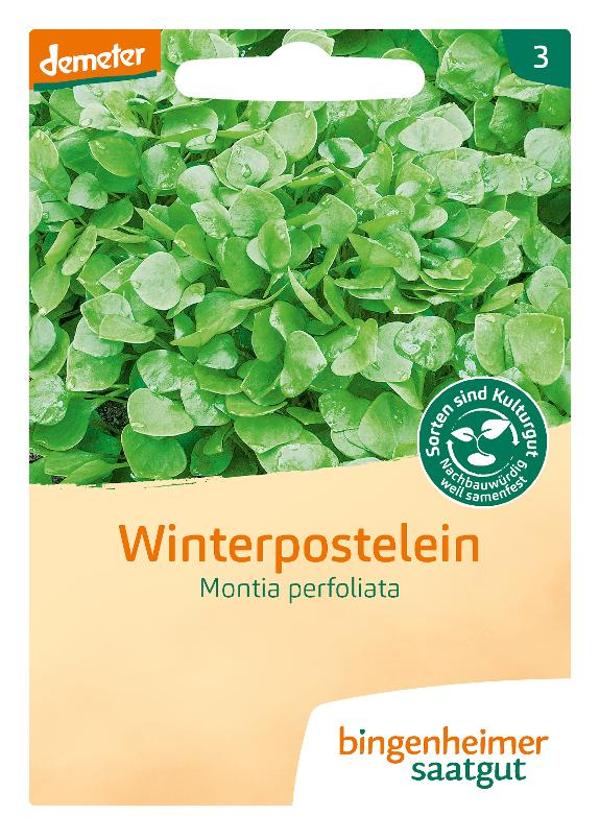 Produktfoto zu Saatgut Winterpostelein Montia perfoliata