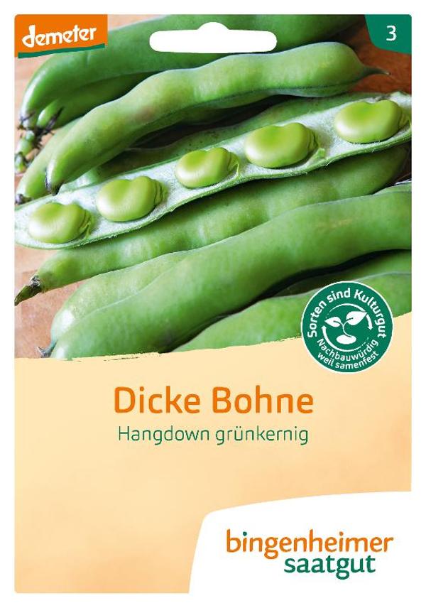 Produktfoto zu Saatgut Dicke Bohnen Hangdown grün
