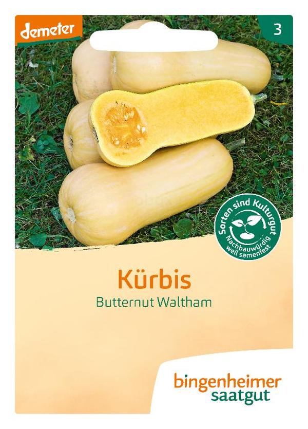 Produktfoto zu Saatgut Kürbis Butternut Waltham
