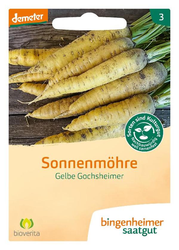 Produktfoto zu Saatgut Spät-Möhren Gelbe Gochsheimer