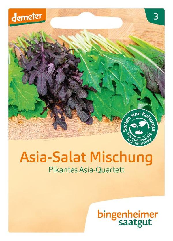 Produktfoto zu Saatgut Asia Salat Mischung