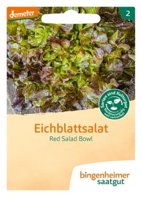 Produktfoto zu Saatgut Eichblattsalat Red Salad Bowl