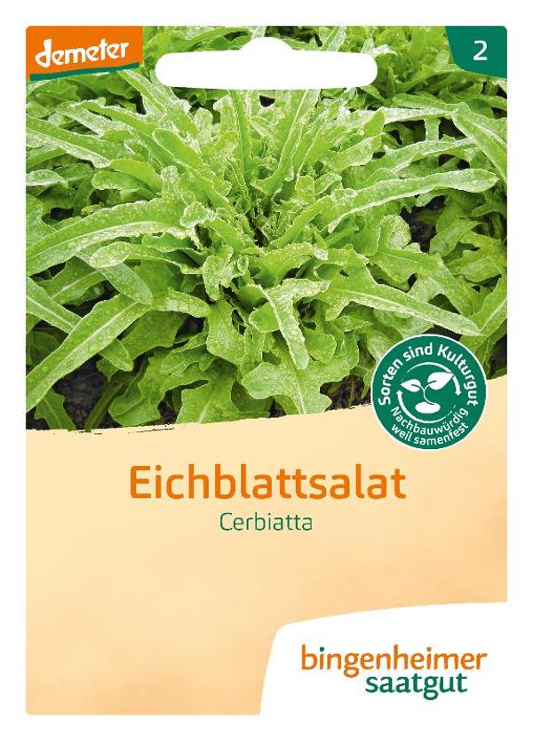 Produktfoto zu Saatgut Eichblattsalat Cerbiatta