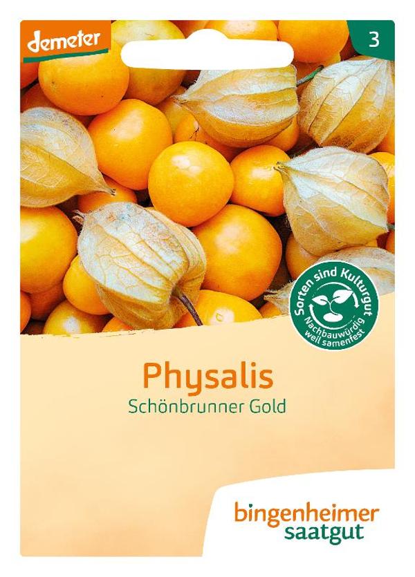 Produktfoto zu Saatgut Physalis Schönbrunner Gold