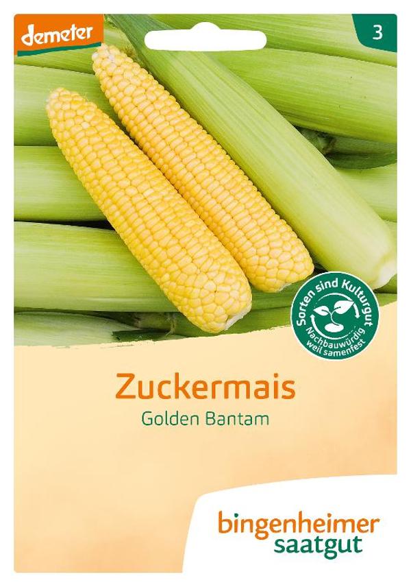 Produktfoto zu Saatgut Zuckermais Golden Bantam