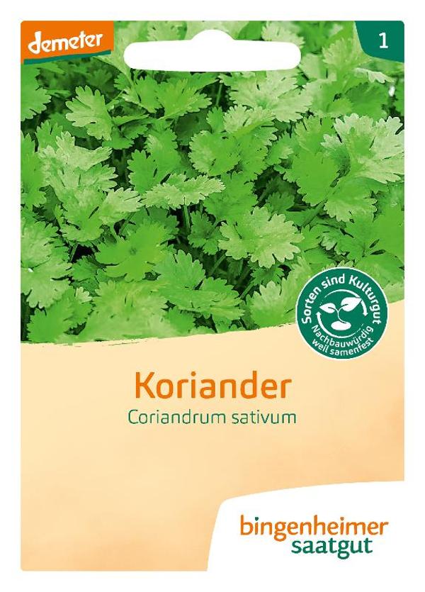 Produktfoto zu Saatgut Koriander Coriandrum sativum