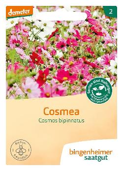 Saatgut Blumen Cosmea