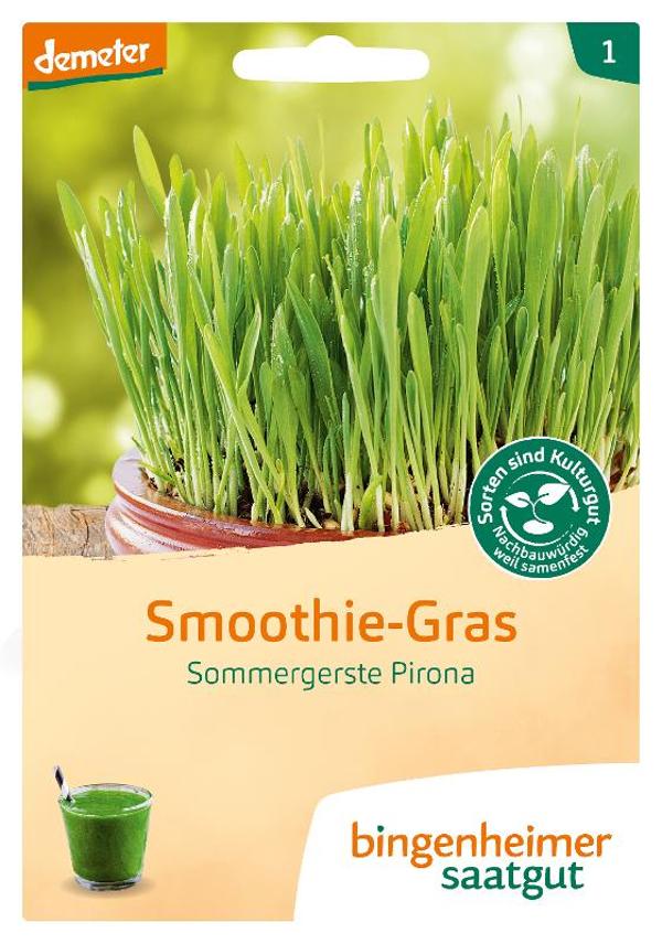 Produktfoto zu Saatgut Smoothie-Gras Sommergerste