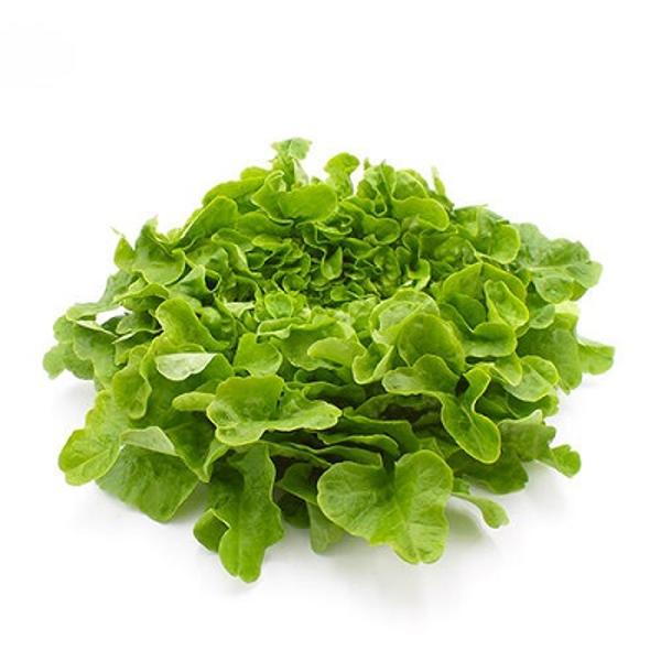 Produktfoto zu Salat Eichblatt grün