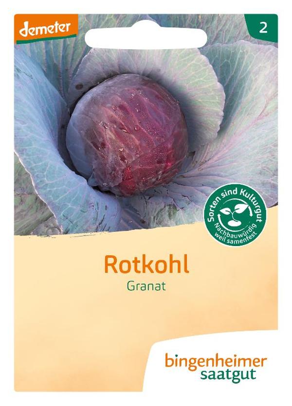 Produktfoto zu Saatgut Rotkohl Granat