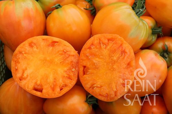 Produktfoto zu Jungpflanzen Fleischtomate Ochsenherz Orange