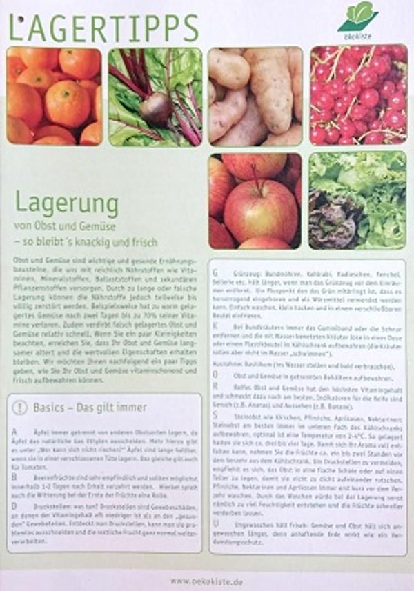 Produktfoto zu Prospekt "Lagerung von Obst & Gemüse"