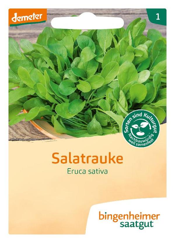 Produktfoto zu Saatgut Salatrauke